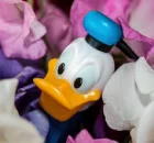 Donald Duck Kopfbedeckung